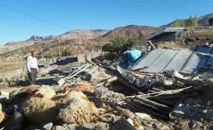  پرداخت بیش از ۸۵ درصد خسارت دامداران آسیب‌دیده در زلزله کرمانشاه 