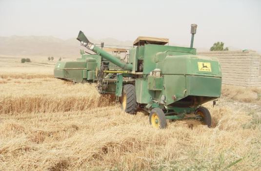 برداشت38 هزار تنی محصول از مزارع گندم گیلانغرب