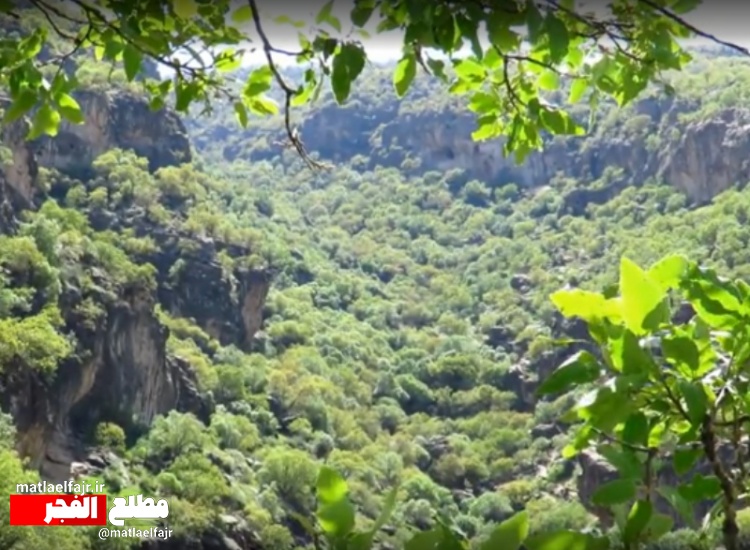 زیبایی های بهاری دهستان چله در گیلانغرب+فیلم