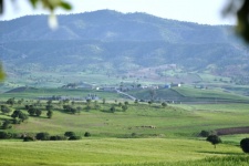 تابلوی رنگین بهاری در طبیعت شهرستان گیلانغرب+ عکس