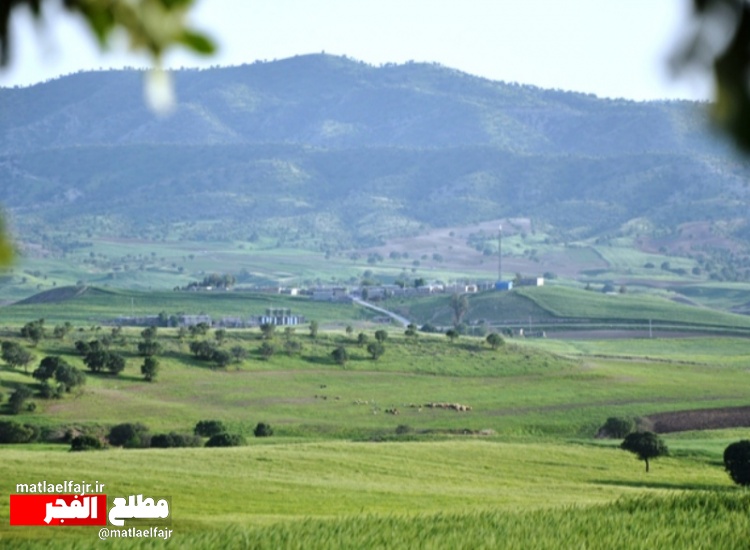 تابلوی رنگین بهاری در طبیعت شهرستان گیلانغرب+ عکس