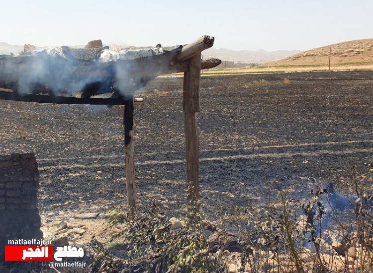 ۵هکتار از مزارع گندم  آبی شهر گیلانغرب طعمه حریق شد+تصاویر