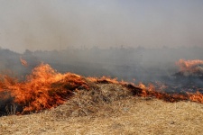 آتش 27 هکتار از مزارع گندم  و پسچر،گیلانغرب را به کام خود برد