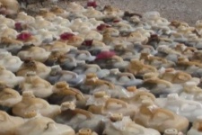 از کشف سوخت قاچاق تا دستگیری عامل تیراندازی