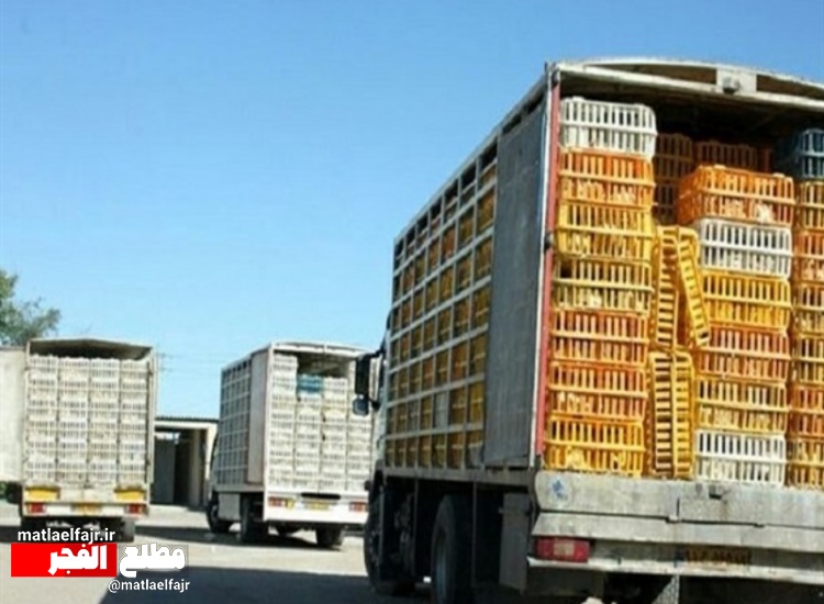 کشف یک تن و ۷۵۰ کیلوگرم مرغ قاچاق در گیلانغرب