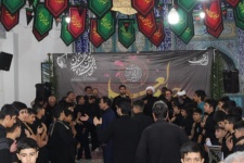 مراسم"احلی من العسل" در شهرستان گیلانغرب برگزار شد+ عکس