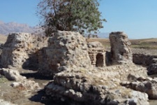 ثبت ملی درخت آتشکده خالو خالو گیلانغرب کرمانشاه + تصاویر