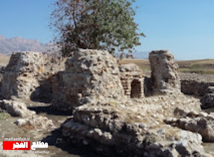 ثبت ملی درخت آتشکده خالو خالو گیلانغرب کرمانشاه + تصاویر