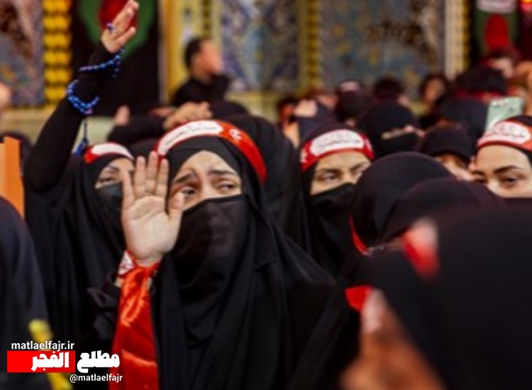 هوای عشق و دلدادگی اربعیت در کربلا+عکس