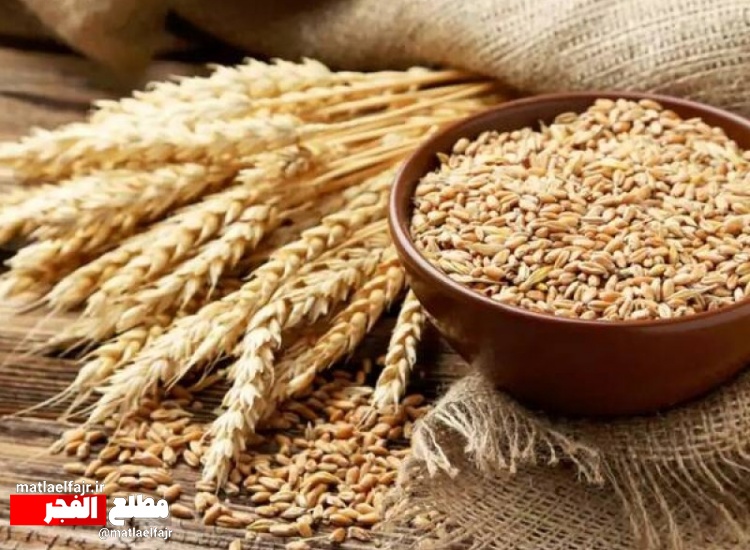 قیمت خرید تضمینی گندم تعیین شد