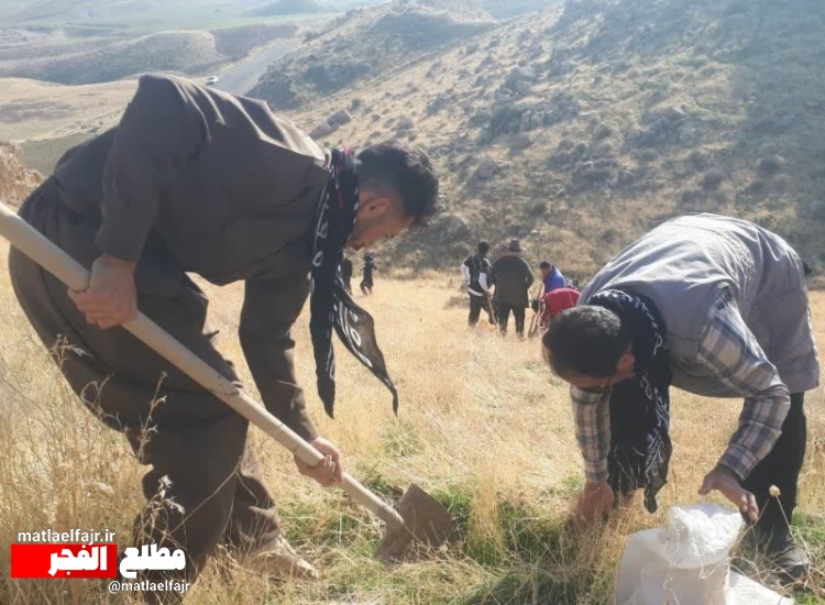 پویش جنگلانه نویدبخش رویش بلوط در جنگل‌های زاگرس