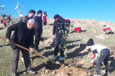 اجرای مرحله چهارم درخت کاری در گیلان غرب با یاد و نام شهدای کرمان+عکس