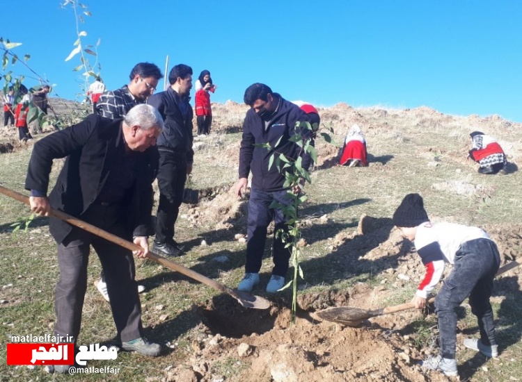 اجرای مرحله چهارم درخت کاری در گیلان غرب با یاد و نام شهدای کرمان+عکس