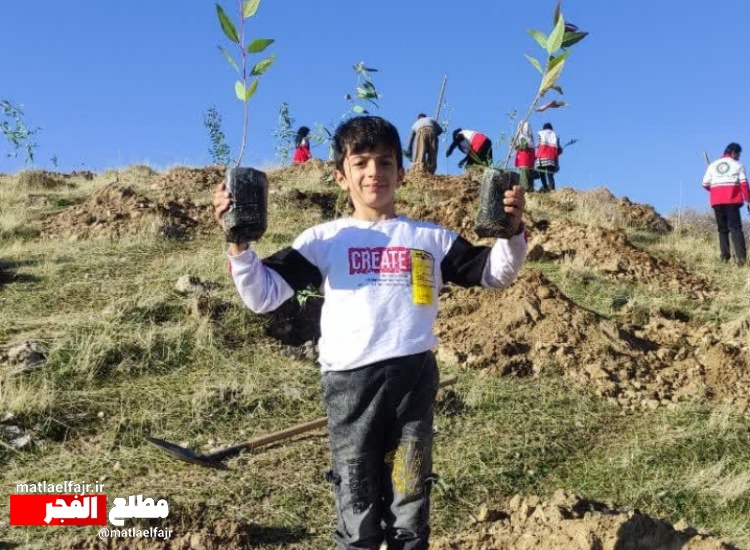 اقدام تحسین‌برانگیز زیست‌محیطی برای احیای جنگل‌های گیلانغرب