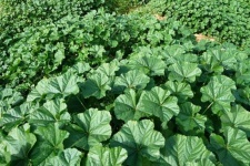 خواص تولیه که شاید شما هم نمیدانستید+عکس