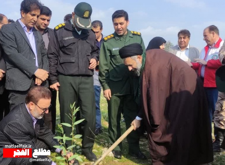 گیلانغربیها در ۱۵ اسفند درخت کاشتند+عکس