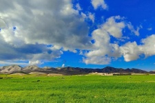 تابلوی هزار رنگ و جادویی بهار در گیلانغرب