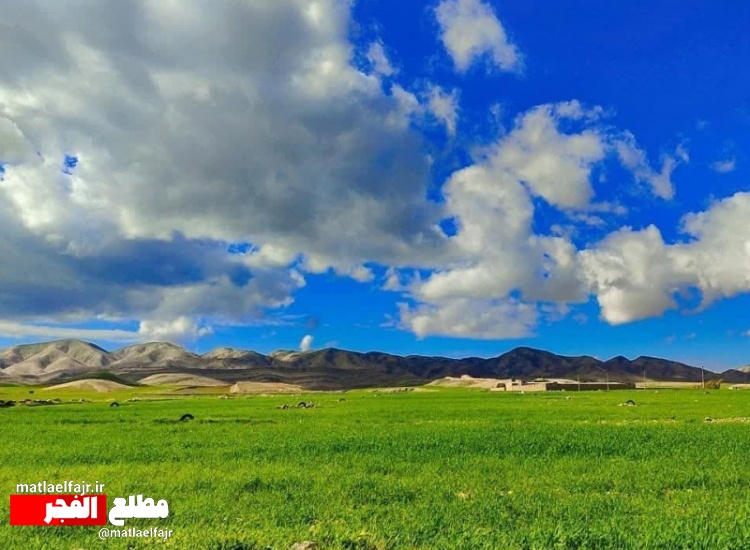 تابلوی هزار رنگ و جادویی بهار در گیلانغرب