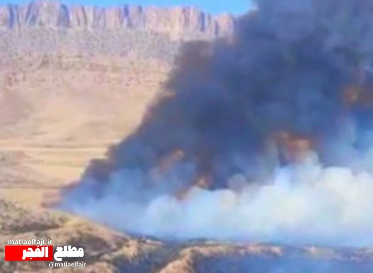 آتش بیش از 56 هکتار مزارع گیلانغرب را سوزاند + فیلم