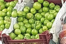 نارضایتی مردم از بازار میوه گیلانغرب/ نقره داغ گرانفروشان بازار میوه