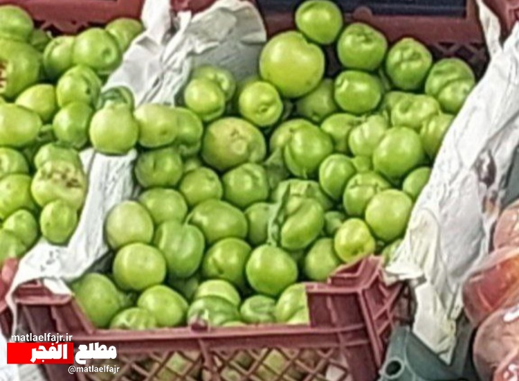 نارضایتی مردم از بازار میوه گیلانغرب/ نقره داغ گرانفروشان بازار میوه