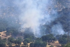 آتش تنها زیستگاه خرس قهوه‌ای در گیلان غرب  را بلعید+عکس