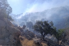 تداوم تراژدی آتش دردل جنگل‌های گیلانغرب/باز هم + عکس و فیلم