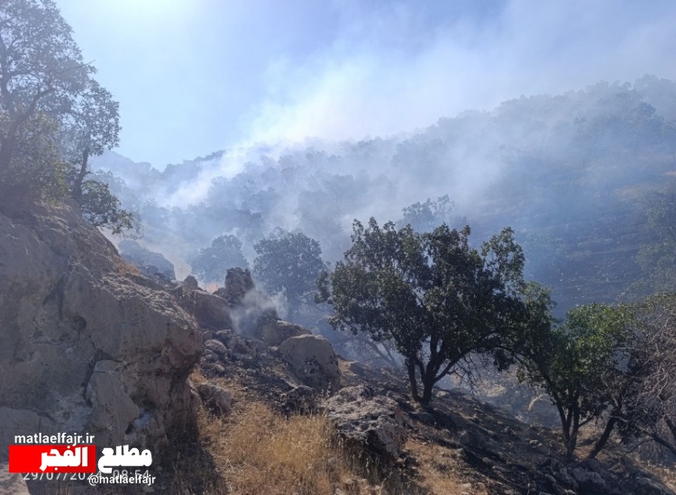 تداوم تراژدی آتش دردل جنگل‌های گیلانغرب/باز هم + عکس و فیلم