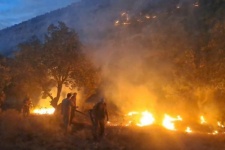 آتش سوزی جنگل و مراتع؛ چالش اکوسیستم و منابع طبیعی