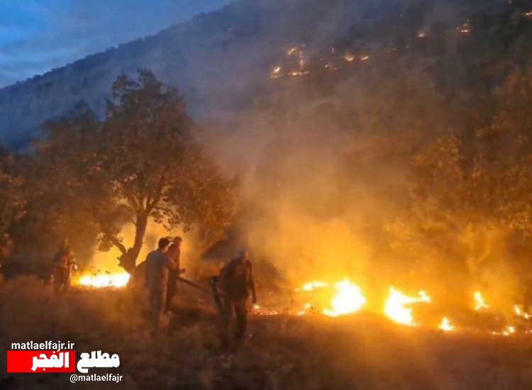آتش سوزی جنگل و مراتع؛ چالش اکوسیستم و منابع طبیعی