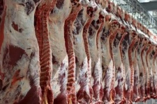 قیمت گوشت قرمز در بازار منطقی نیست
