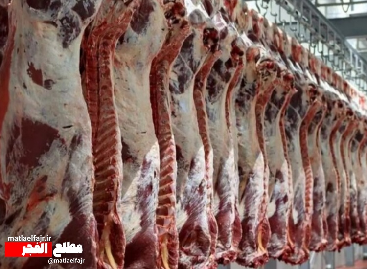 قیمت گوشت قرمز در بازار منطقی نیست