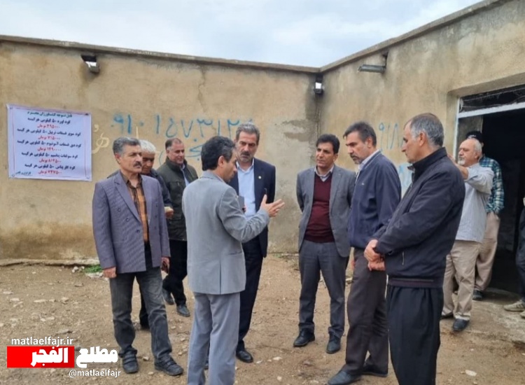 بازدید رییس جهاد کشاورزی کرمانشاه از کارگزاری‌های توزیع نهاده‌های کشاورزی گیلانغرب؛ اختصاص 400تن کود اوره به گیلانغرب+عکس