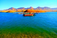 پرورش “ماهی در قفس” پتانسیل بالقوه اشتغال در گیلانغرب