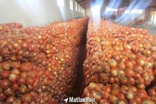 کشف و ضبط 60تن پیاز احتکار شده در گیلانغرب