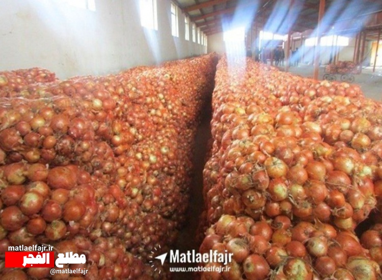 کشف و ضبط 60تن پیاز احتکار شده در گیلانغرب