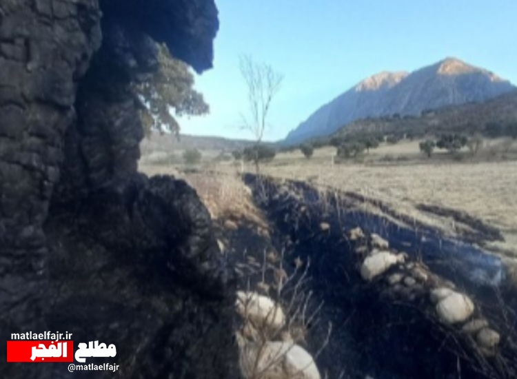 درخواست برای اشد مجازات عاملان آتش‌سوزی عمدی در کل کش+عکس