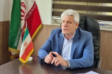 گیلان‌غرب، قطب جدید کشت کلزا در استان کرمانشاه+عکس