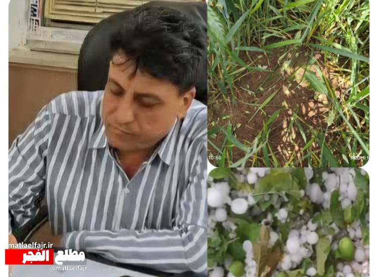 خسارت ۱۰۰ میلیارد ریالی به مزارع گیلان‌غرب بر اثر تگرگ و بارندگی شدید  ‌