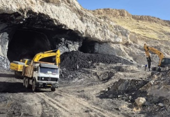 ۷۰ درصد «طلای سیاه» ایران در گیلان‌غرب؛  چرا ثروت میلیاردی مردم در جیب خام‌فروشان می‌رود؟+عکس