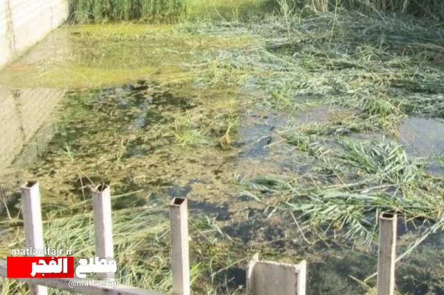 زخمی که اگر التیام نیابد، تشنگی‌ مان را فزونی خواهد بخشید