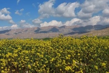 نوید بهاری  در گیلانغرب