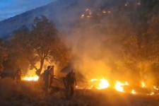 آتش سوزی جنگل و مراتع؛ چالش اکوسیستم و منابع طبیعی