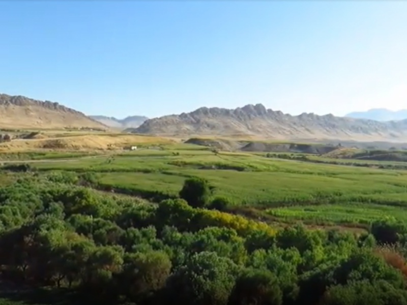 طبیعت گیلان غرب طبیعت گیلان غرب