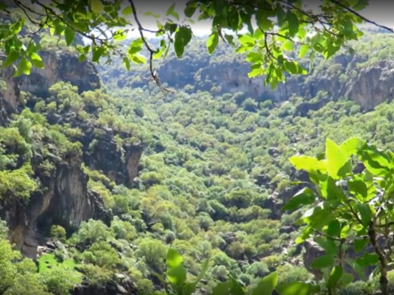 زیبایی های بهاری دهستان چله در گیلانغرب+فیلم زیبایی های بهاری دهستان چله در گیلانغرب+فیلم