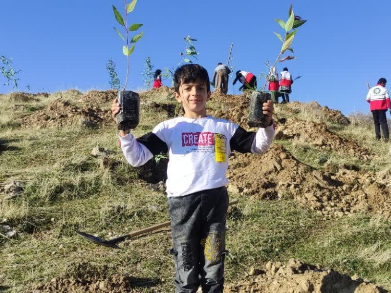 اقدام تحسین‌برانگیز زیست‌محیطی برای احیای جنگل‌های گیلانغرب