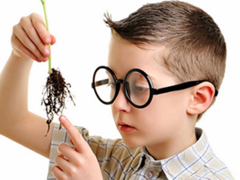 کودکان، تیزهوشی و تشخیص کودکان، تیزهوشی و تشخیص