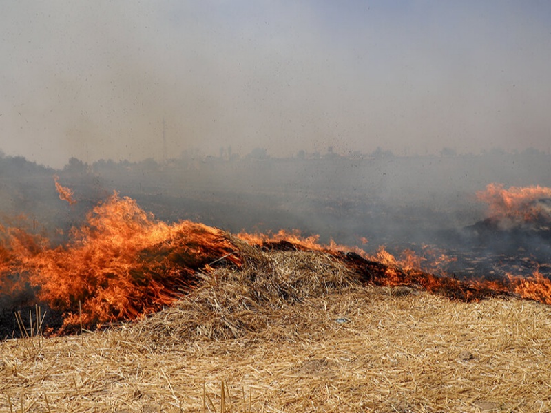 آتش 27 هکتار از مزارع گندم  و پسچر،گیلانغرب را به کام خود برد