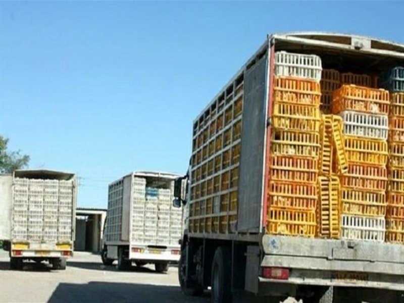 کشف یک تن و ۷۵۰ کیلوگرم مرغ قاچاق در گیلانغرب