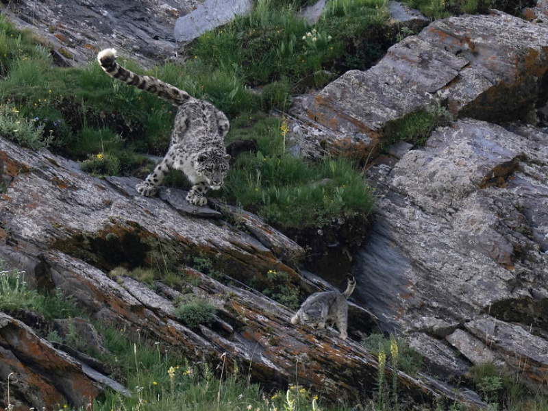 ۱۹ عکس فوقالعاده دیدنی از حیوانات که همین امروز باید ببینید ۱۹ عکس فوقالعاده دیدنی از حیوانات که همین امروز باید ببینید